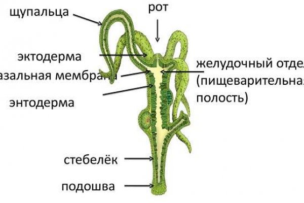 Переход на кракен